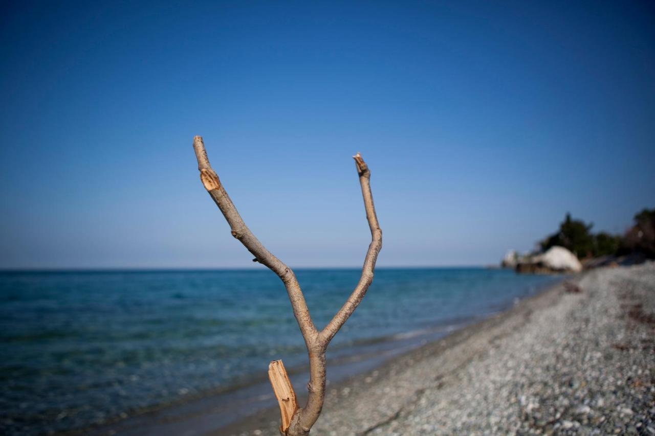 κύματα Πλαταμώνας